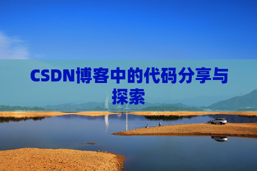 CSDN博客中的代码分享与探索